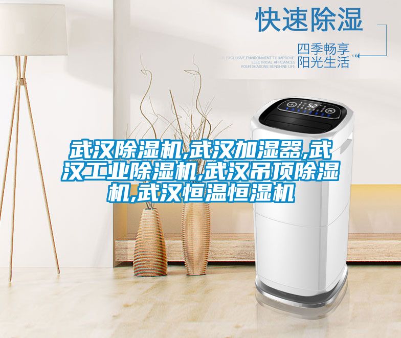 武漢91看片网站视频機,武漢加濕器,武漢工業91看片网站视频機,武漢吊頂91看片网站视频機,武漢恒溫恒濕機
