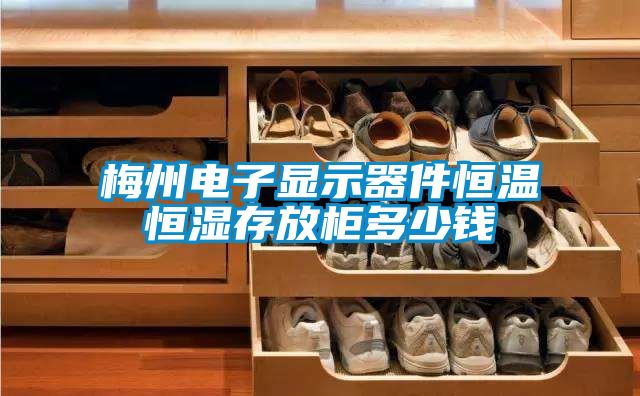 梅州電子顯示器件恒溫恒濕存放櫃多少錢