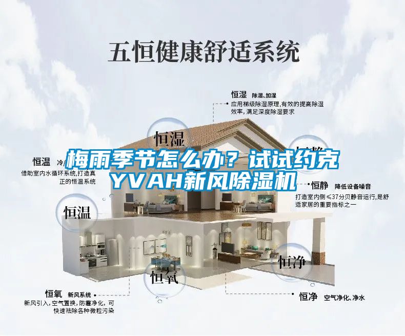 梅雨季節怎麽辦？試試約克YVAH新風91看片网站视频機