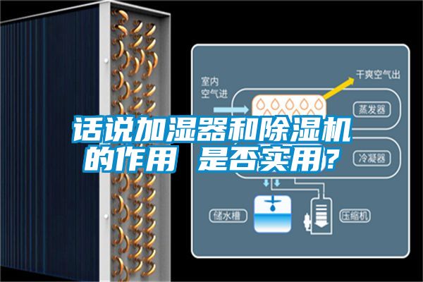 話說加濕器和91看片网站视频機的作用 是否實用？