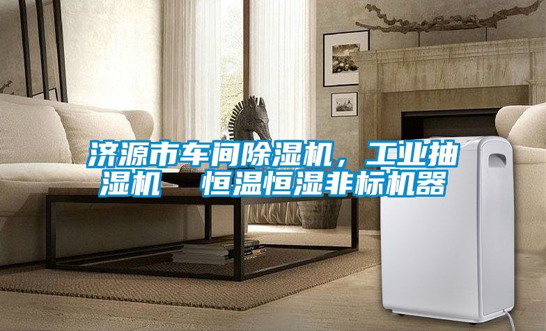 濟源市車間91看片网站视频機，工業抽濕機  恒溫恒濕非標機器