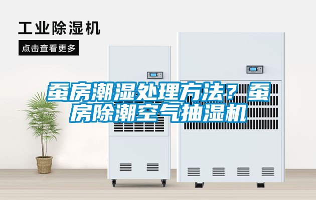 蠶房潮濕處理方法？蠶房除潮空氣抽濕機