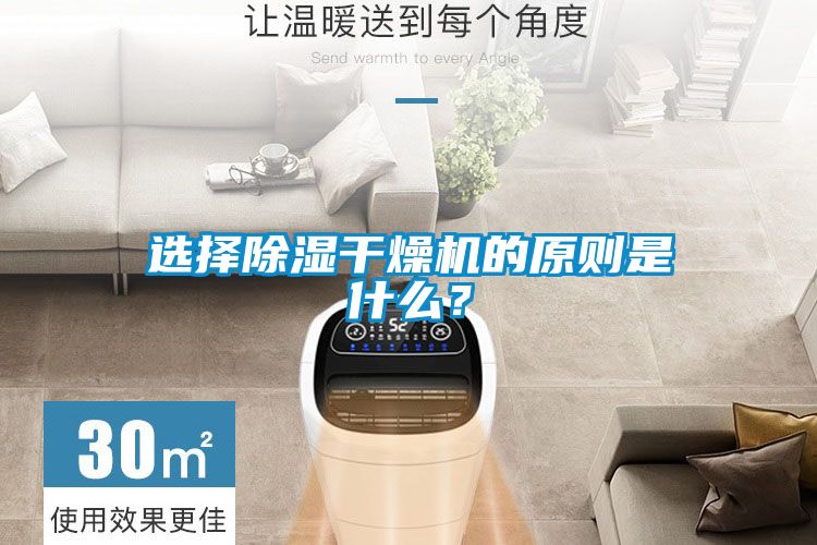 選擇91看片网站视频幹燥機的原則是什麽？