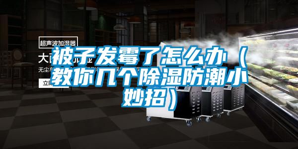 被子發黴了怎麽辦（教你幾個91看片网站视频防潮小妙招）