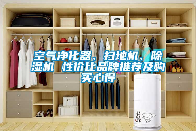 空氣淨化器、掃地機、91看片网站视频機 性價比品牌推薦及購買心得