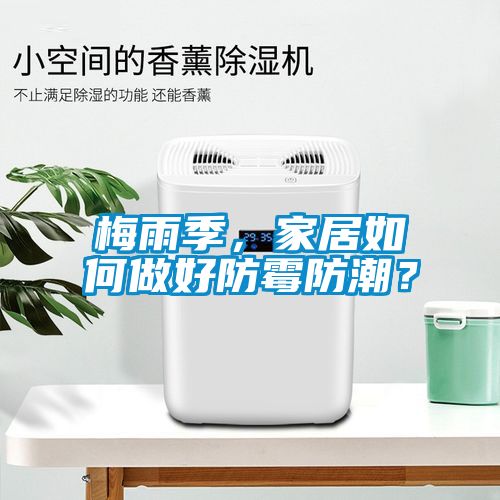 梅雨季，家居如何做好防黴防潮？