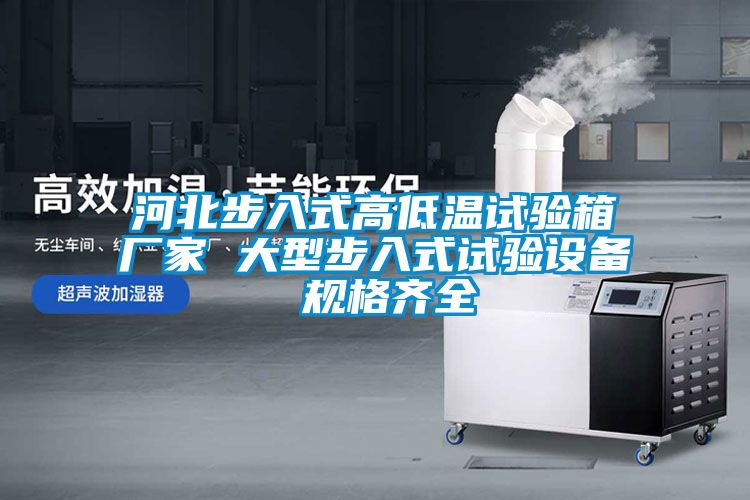 河北步入式高低溫試驗箱廠家 大型步入式試驗設備 規格齊全
