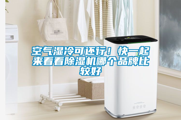 空氣濕冷可還行！快一起來看看91看片网站视频機哪個品牌比較好