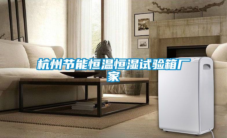 杭州節能恒溫恒濕試驗箱廠家