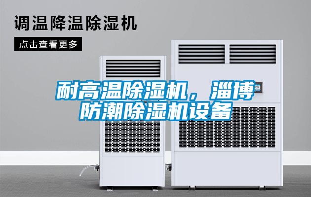 耐高溫91看片网站视频機，淄博防潮91看片网站视频機設備