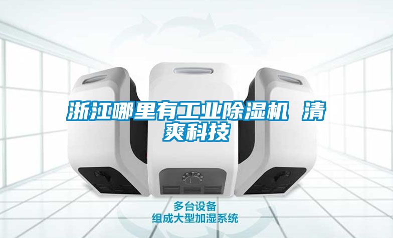 浙江哪裏有工業91看片网站视频機 清爽科技