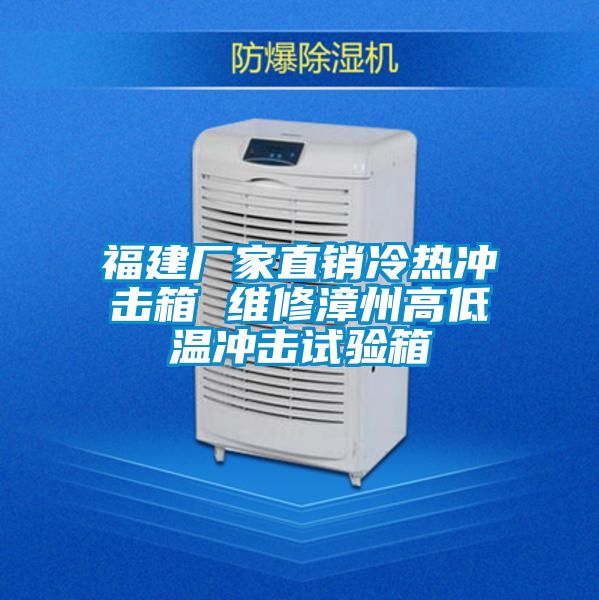福建廠家直銷冷熱衝擊箱 維修漳州高低溫衝擊試驗箱