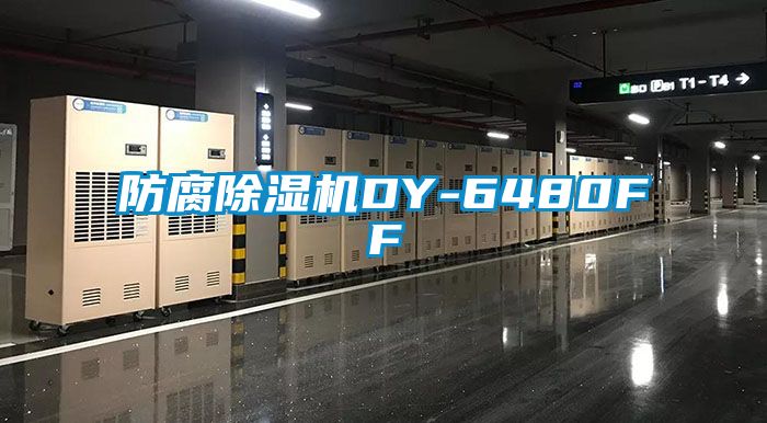 防腐91看片网站视频機DY-6480FF