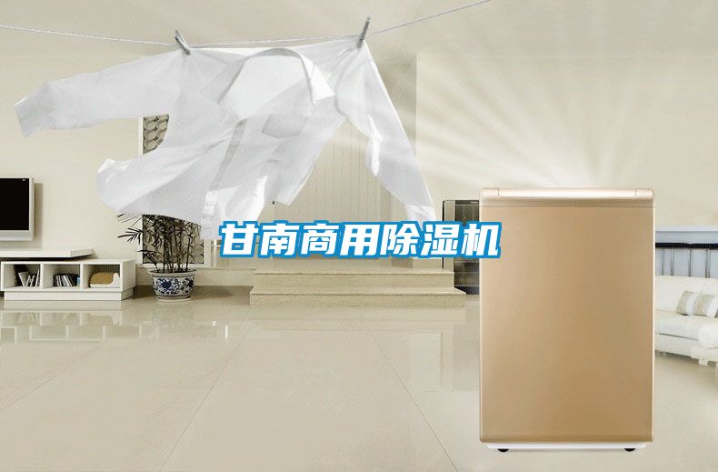 甘南商用91看片网站视频機