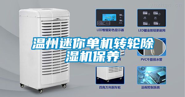 溫州迷你單機轉輪91看片网站视频機保養