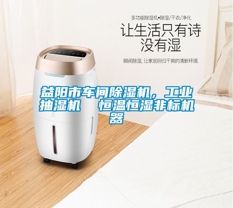 益陽市車間91看片网站视频機，工業抽濕機  恒溫恒濕非標機器