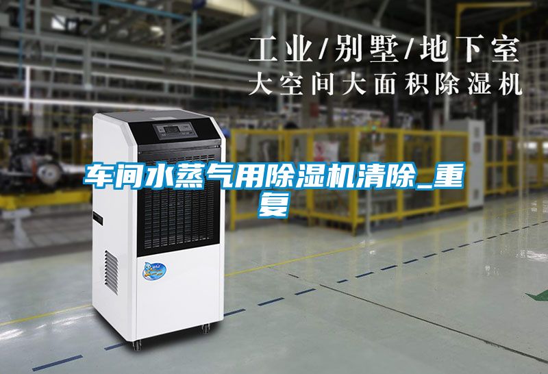 車間水蒸氣用91看片网站视频機清除_重複