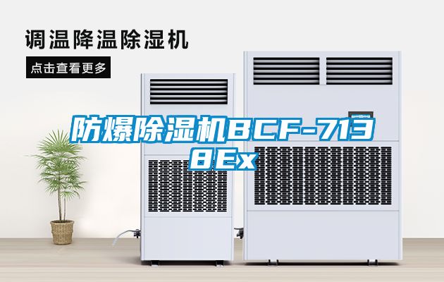 防爆91看片网站视频機BCF-7138Ex