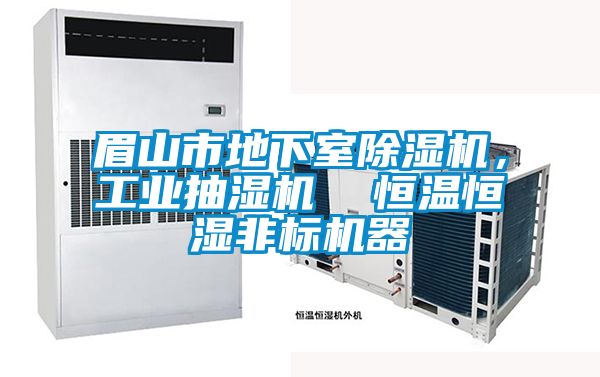眉山市地下室91看片网站视频機，工業抽濕機  恒溫恒濕非標機器