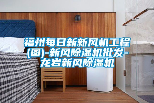 福州每日新新風機工程(圖)-新風91看片网站视频機批發-龍岩新風91看片网站视频機