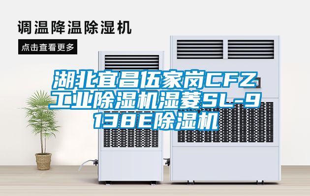 湖北宜昌伍家崗CFZ工業91看片网站视频機濕菱SL-9138E91看片网站视频機