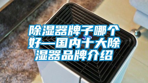 91看片网站视频器牌子哪個好—國內十大91看片网站视频器品牌介紹