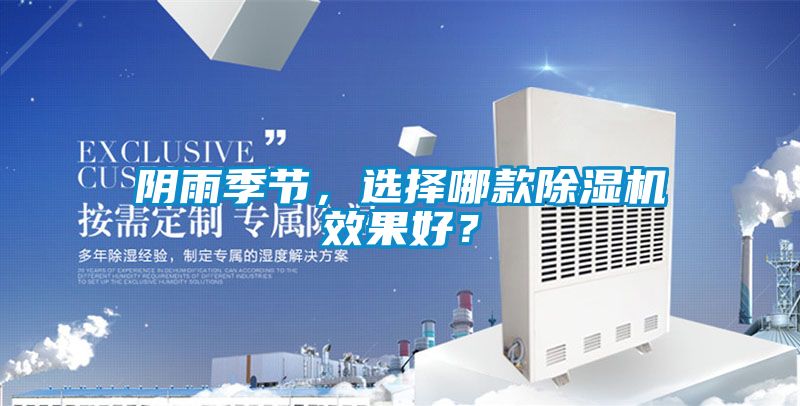 陰雨季節，選擇哪款91看片网站视频機效果好？