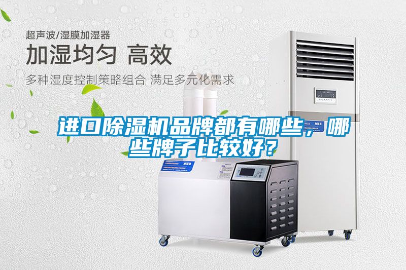 進口91看片网站视频機品牌都有哪些，哪些牌子比較好？