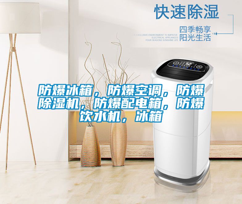 防爆冰箱，防爆空調，防爆91看片网站视频機，防爆配電箱，防爆飲水機，冰箱