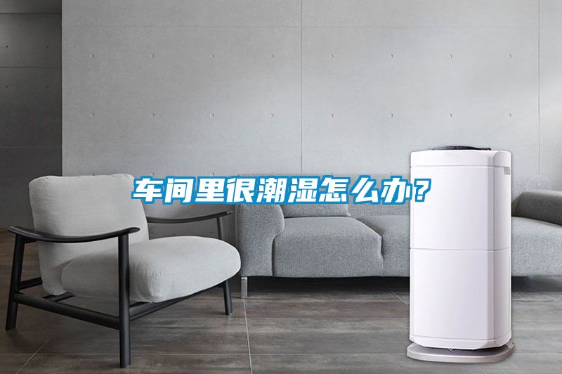車間裏很潮濕怎麽辦？