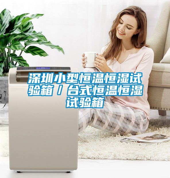 深圳小型恒溫恒濕試驗箱／台式恒溫恒濕試驗箱