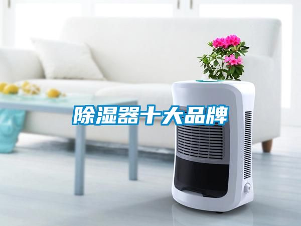 91看片网站视频器十大品牌