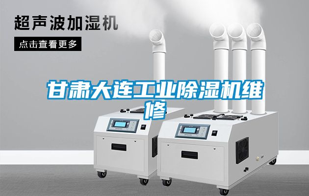 甘肅大連工業91看片网站视频機維修
