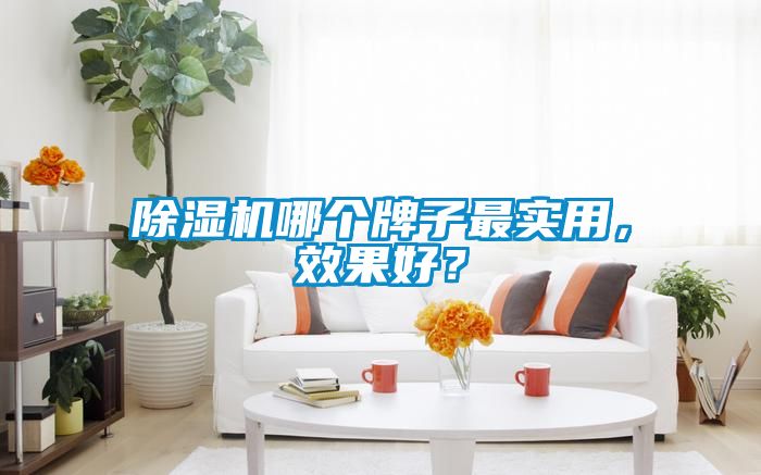 91看片网站视频機哪個牌子最實用，效果好？