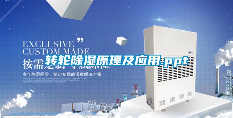 轉輪91看片网站视频原理及應用.ppt