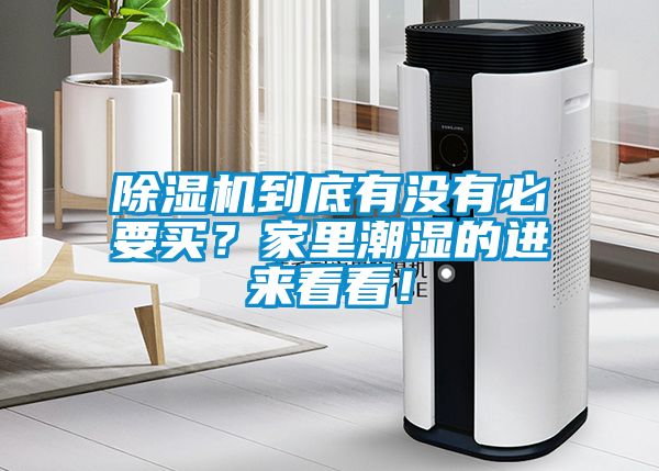 91看片网站视频機到底有沒有必要買？家裏潮濕的進來看看！