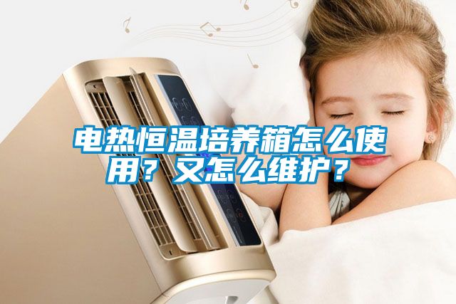 電熱恒溫培養箱怎麽使用？又怎麽維護？