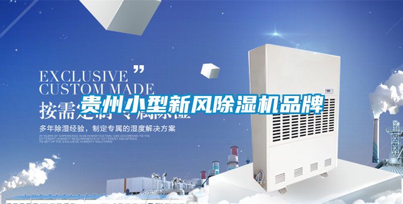 貴州小型新風91看片网站视频機品牌