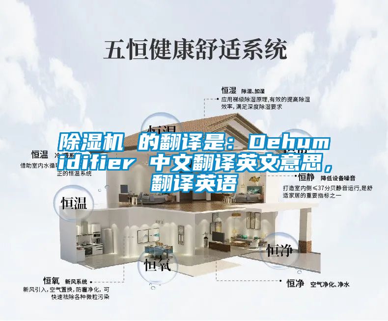 91看片网站视频機 的翻譯是：Dehumidifier 中文翻譯英文意思，翻譯英語