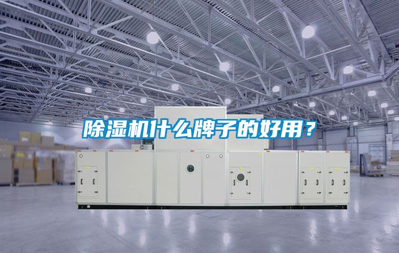 91看片网站视频機什麽牌子的好用？