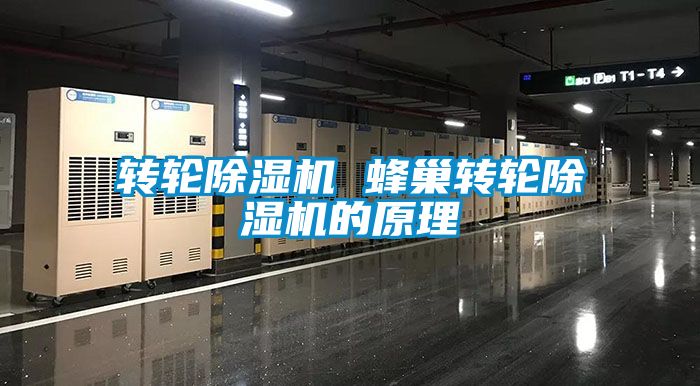 轉輪91看片网站视频機 蜂巢轉輪91看片网站视频機的原理