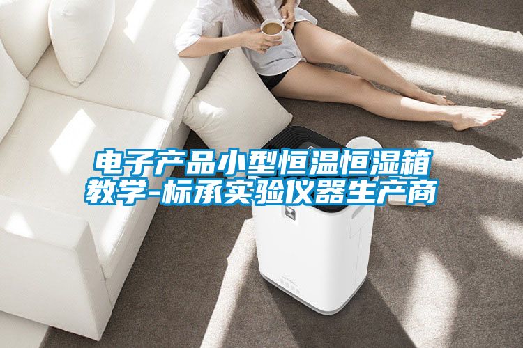 電子產品小型恒溫恒濕箱教學-標承實驗儀器生產商