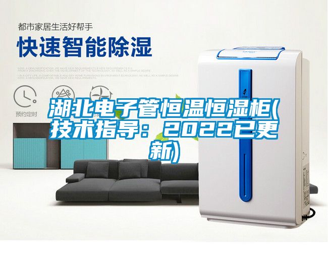 湖北電子管恒溫恒濕櫃(技術指導：2022已更新)