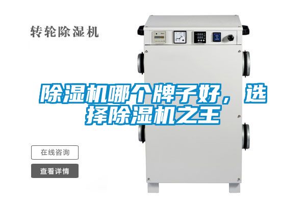 91看片网站视频機哪個牌子好，選擇91看片网站视频機之王
