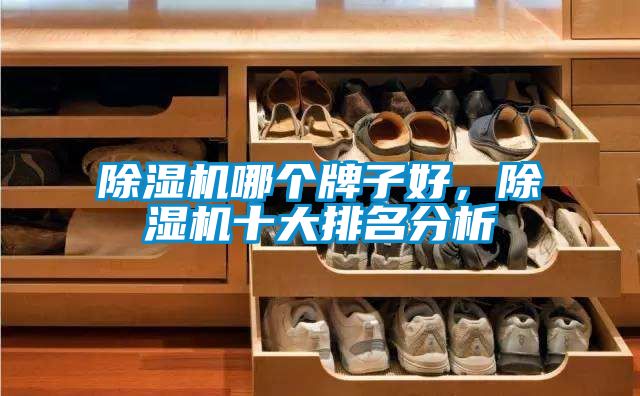 91看片网站视频機哪個牌子好，91看片网站视频機十大排名分析
