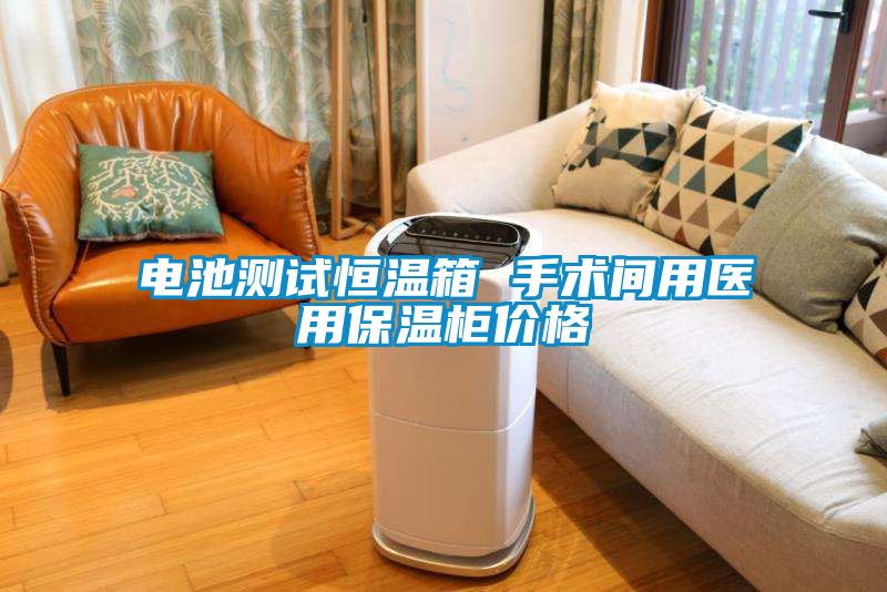 電池測試恒溫箱 手術間用醫用保溫櫃價格