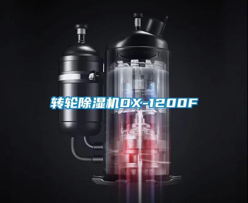 轉輪91看片网站视频機DX-1200F