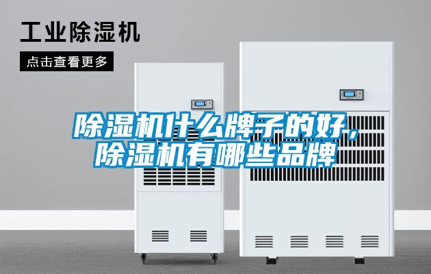 91看片网站视频機什麽牌子的好，91看片网站视频機有哪些品牌