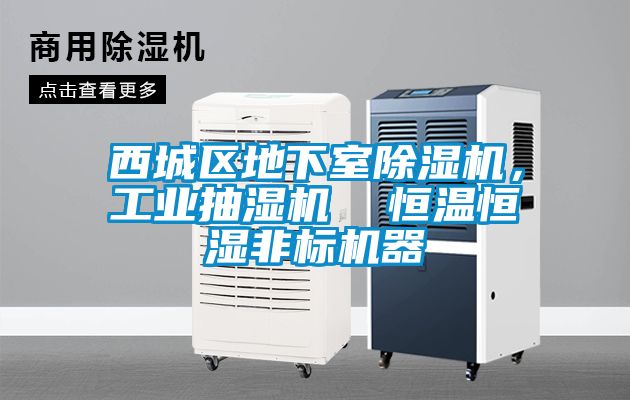 西城區地下室91看片网站视频機，工業抽濕機  恒溫恒濕非標機器