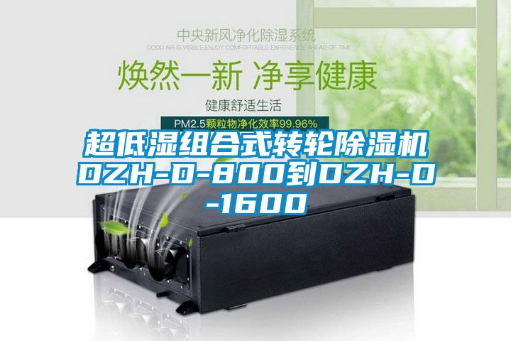 超低濕組合式轉輪91看片网站视频機DZH-D-800到DZH-D-1600